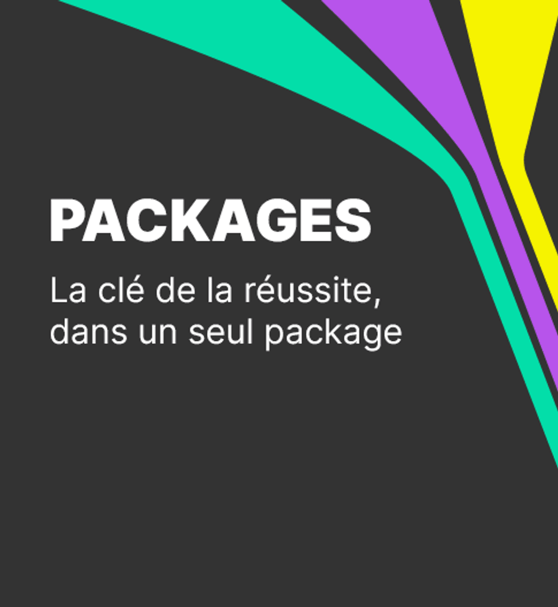 Packet FR (Mobile) (3)