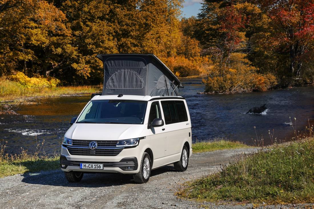 Small-29191-VolkswagenCalifornia6.1.jpg