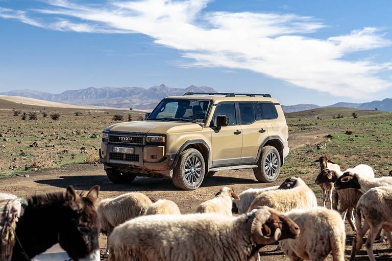 BEBE20250626 Toyota Land Cruiser 01