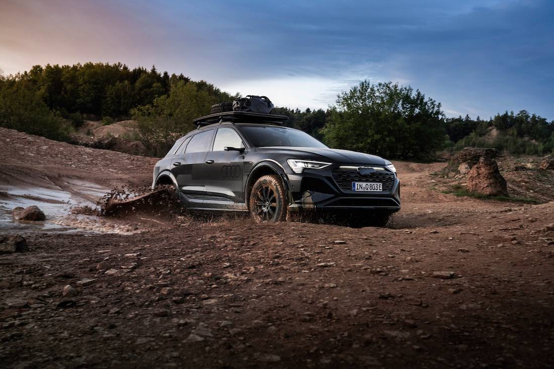 Audi-Q8-Edition-Dakar-2024 01