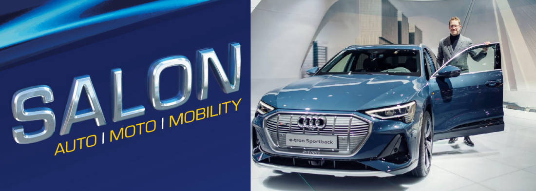 SALON LOGO 3D Audi